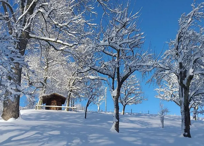 Mair - Sonnaufgang Halblech